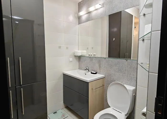 Park Near Iulius Mall, Wi-fi, Walk-in Showe Apartment