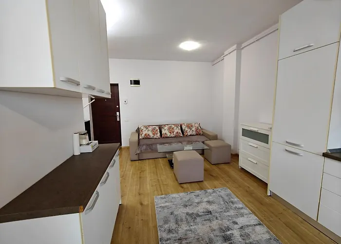 Park Near Iulius Mall, Wi-fi, Walk-in Showe Apartment Cluj-Napoca